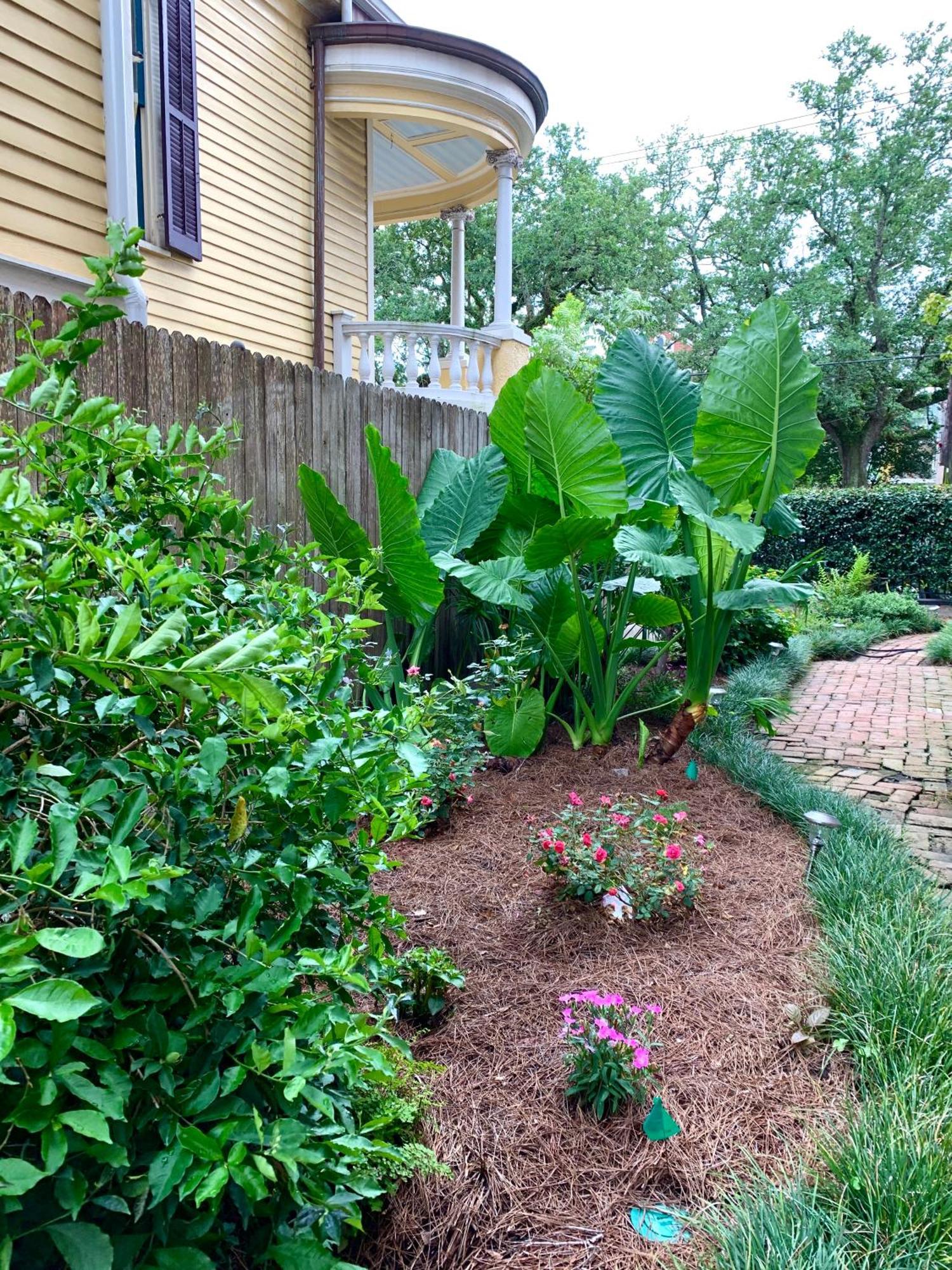 French Quarter Lanaux Mansion Bed And Breakfast Ню Орлиънс Стая снимка